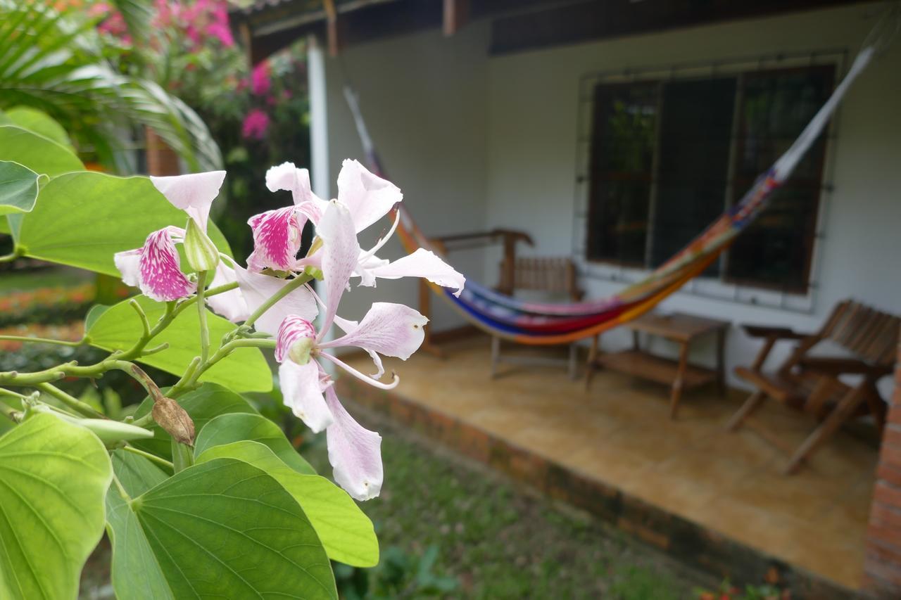Puerto Viejo de Talamanca Escape Caribeno酒店 外观 照片