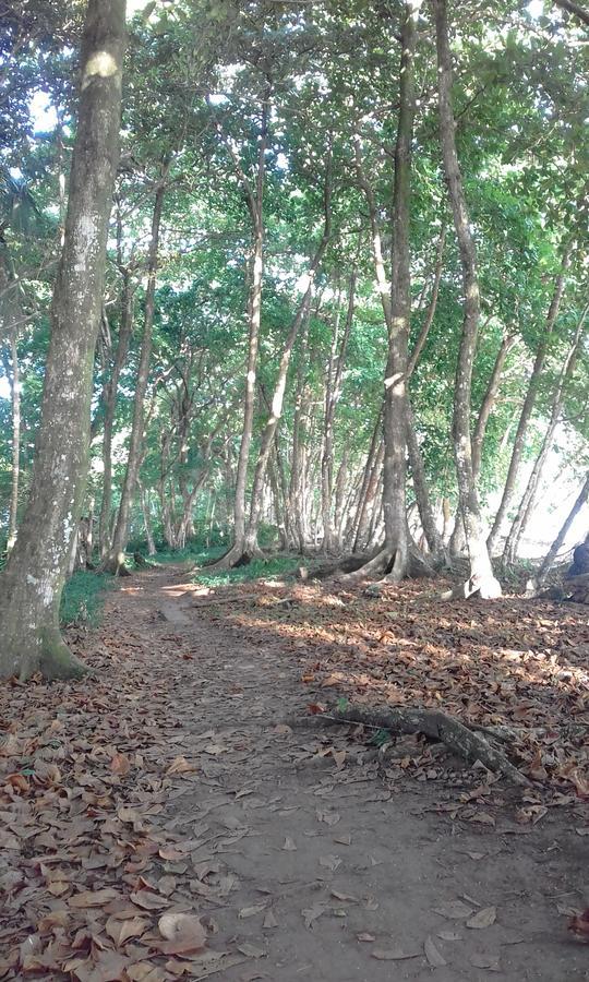 Puerto Viejo de Talamanca Escape Caribeno酒店 外观 照片
