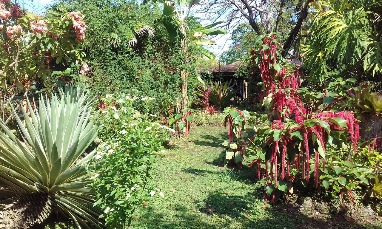 Puerto Viejo de Talamanca Escape Caribeno酒店 外观 照片