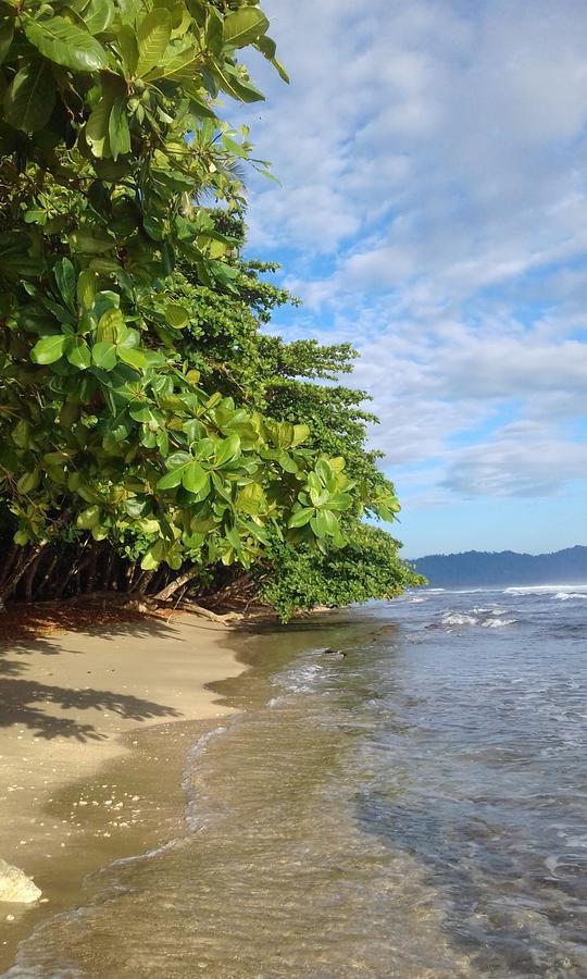 Puerto Viejo de Talamanca Escape Caribeno酒店 外观 照片